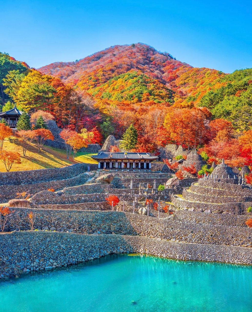 삼성궁 사진