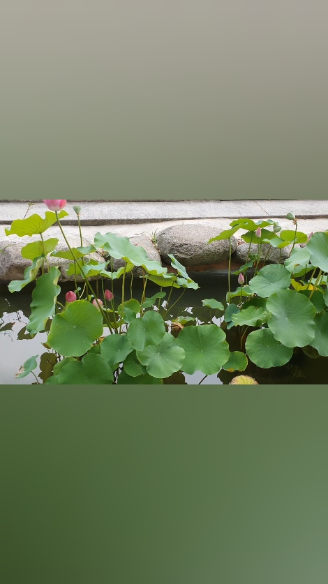 조계사 사진 3