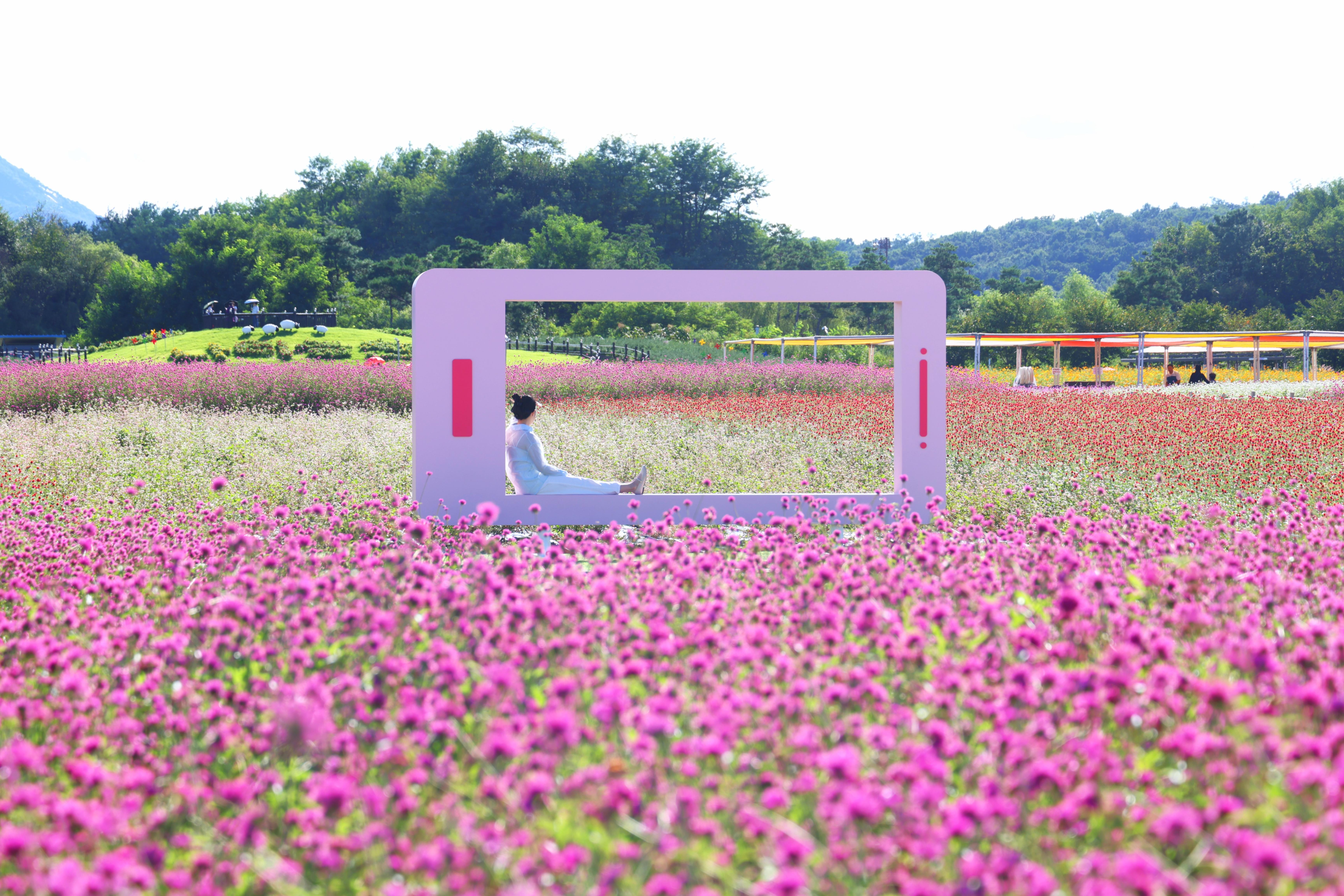 나리농원 사진 4