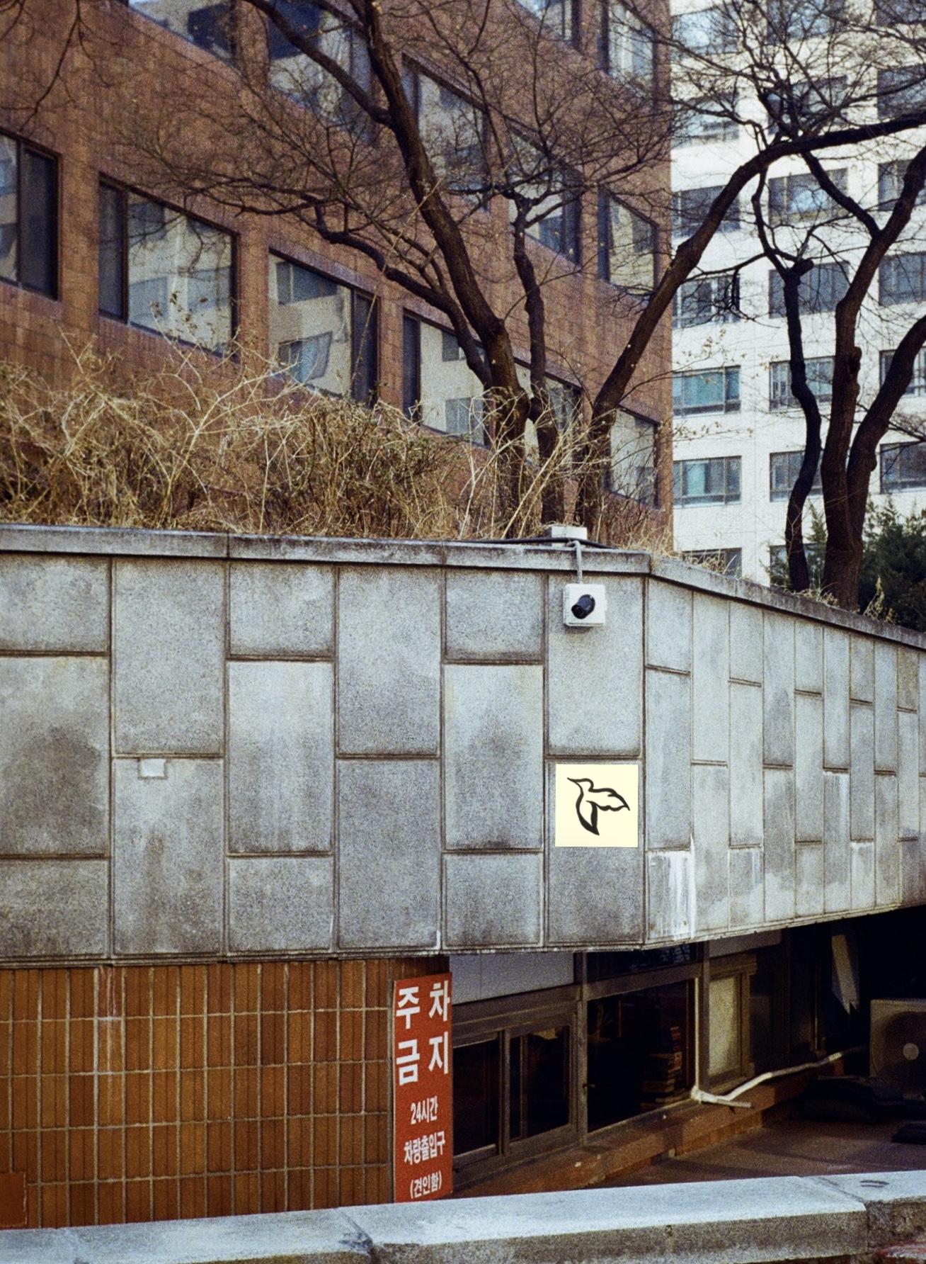 벌새 사진 1