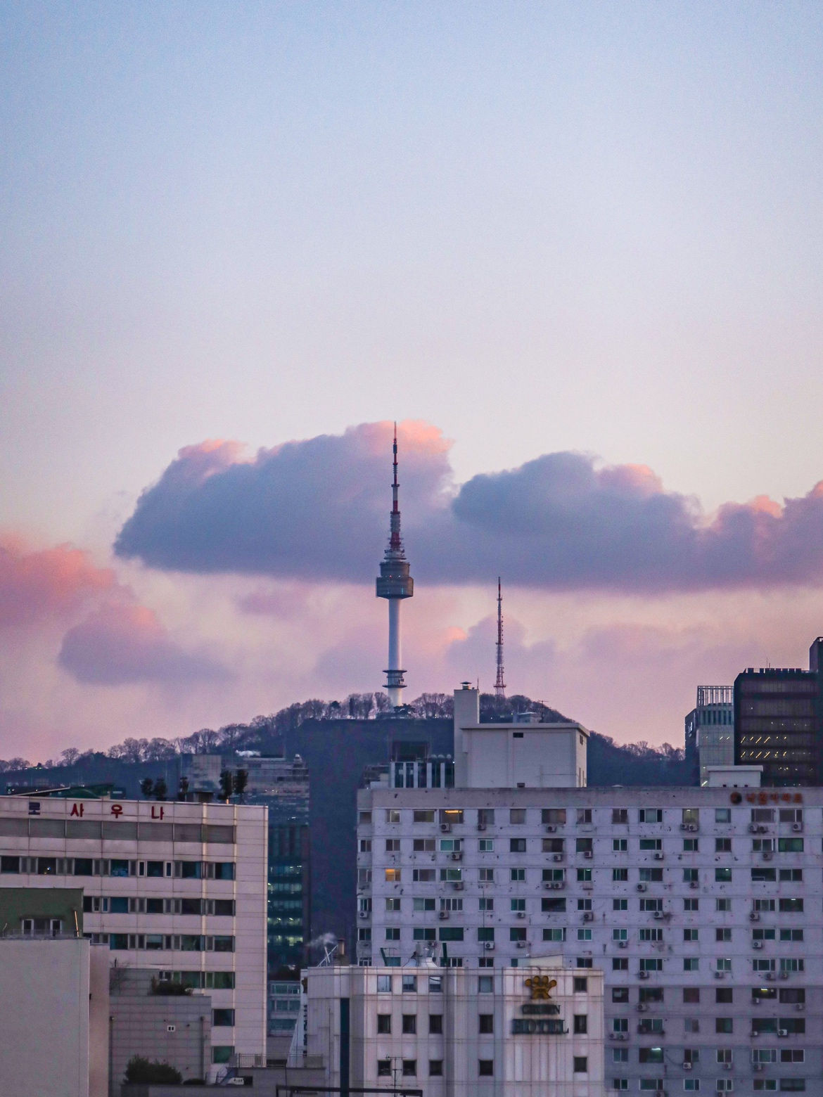텅 사진 1