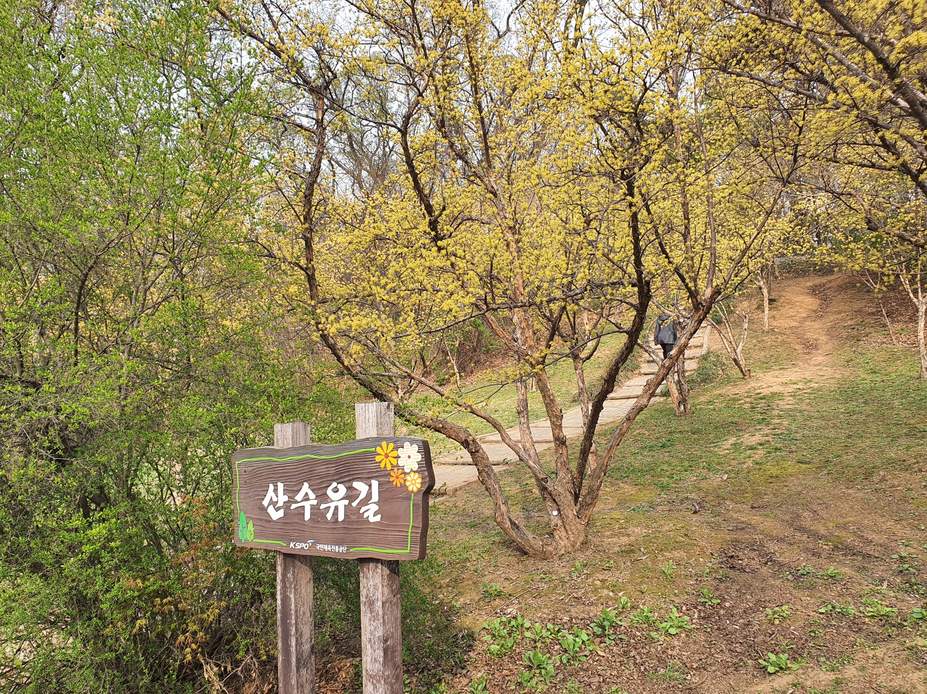 올림픽공원 사진 3