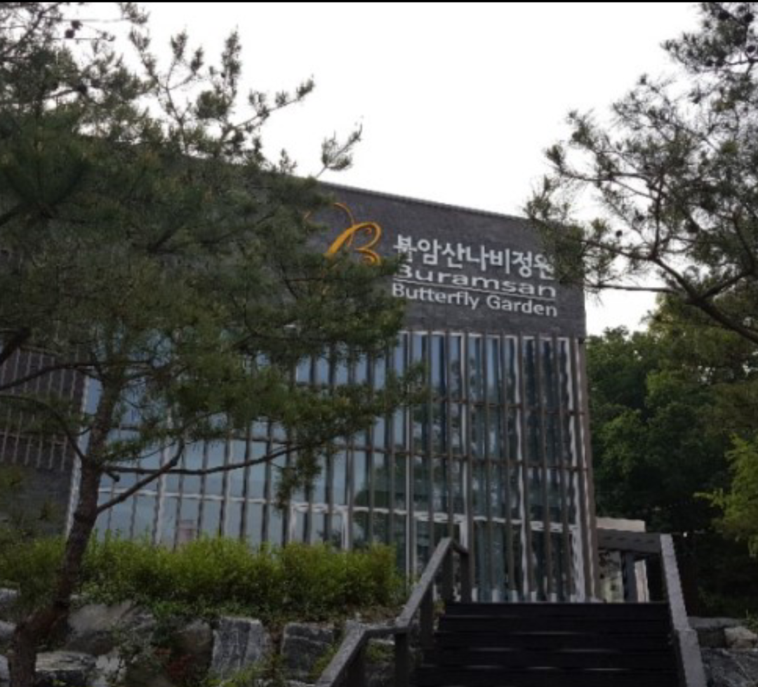 불암산나비정원 사진 2