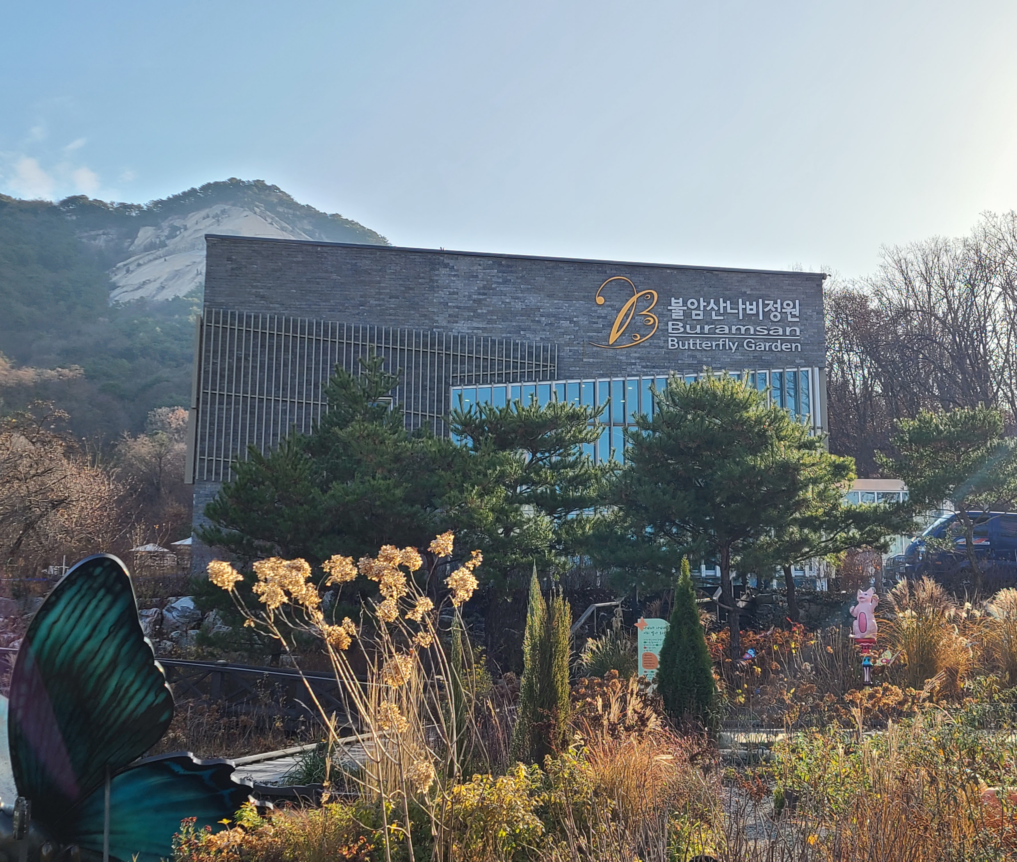 불암산나비정원 사진 3