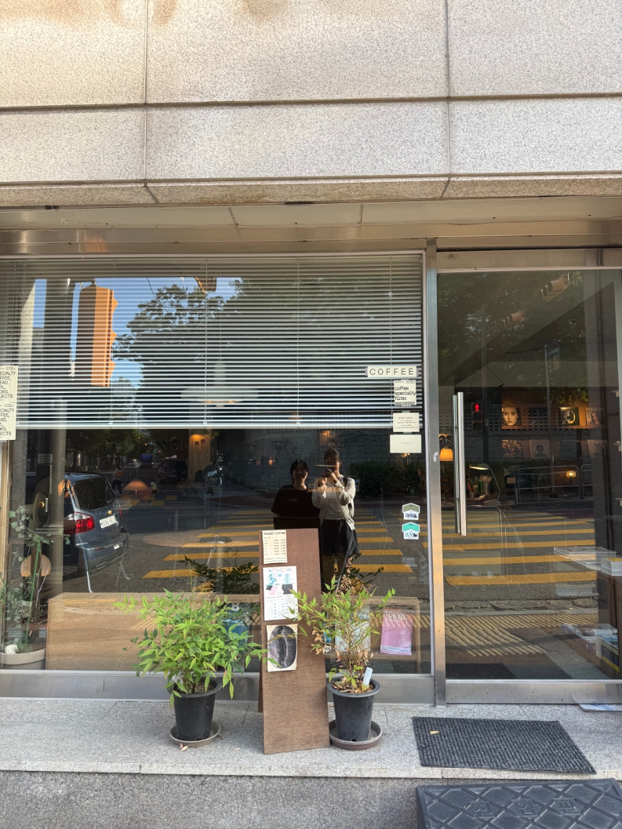 베레프트 사진 4
