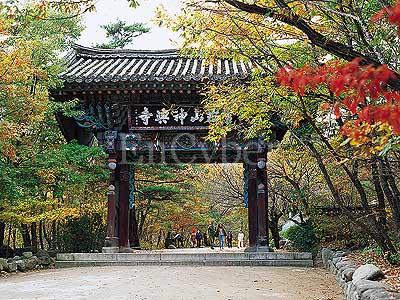 신흥사 사진 1