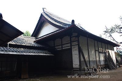 동국사 사진 3