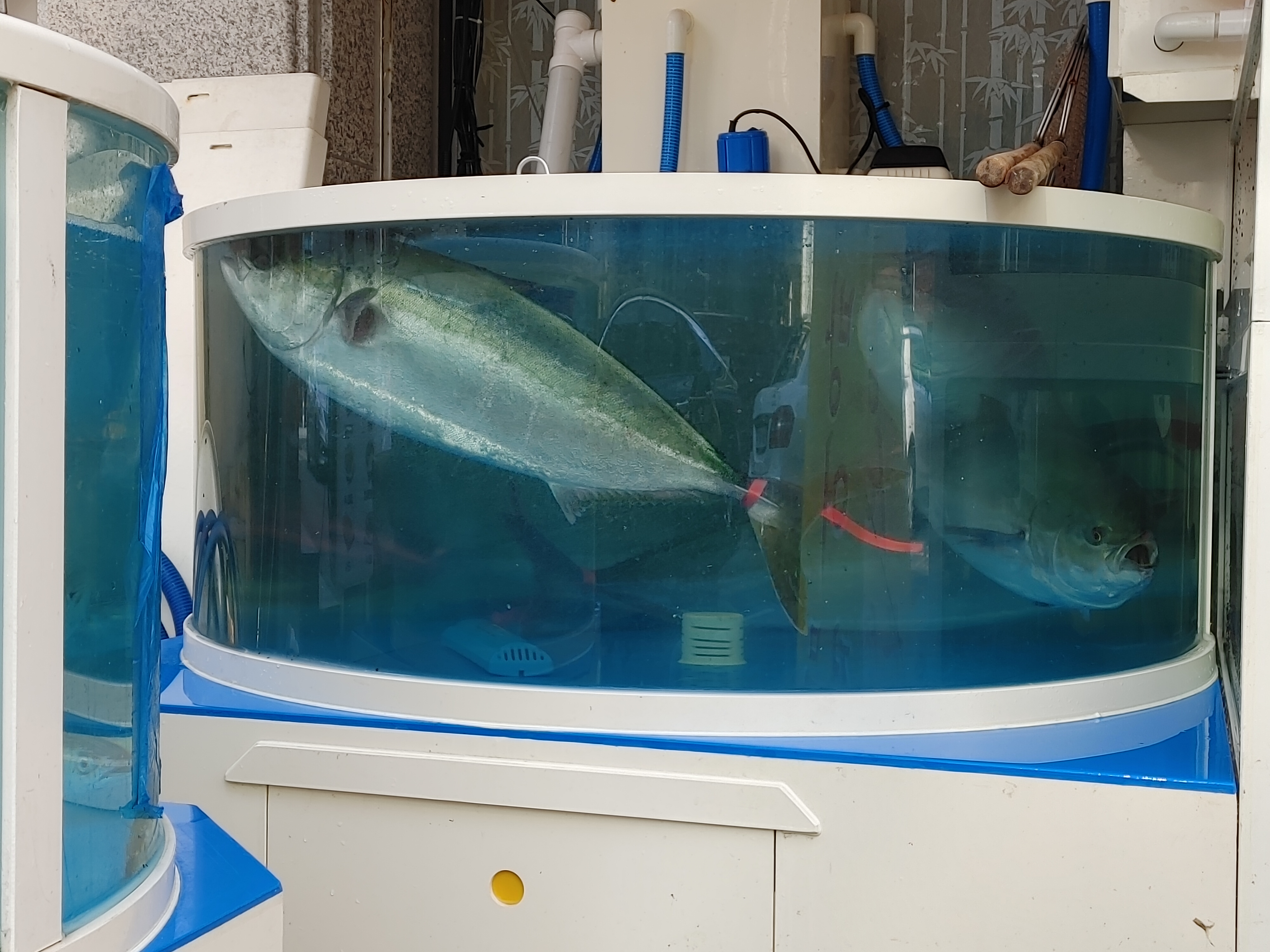 청조 다도해수산 사진 2
