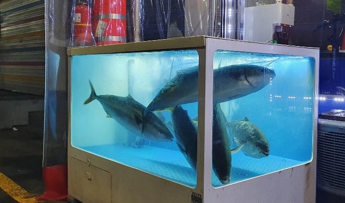 백일도 사진 3