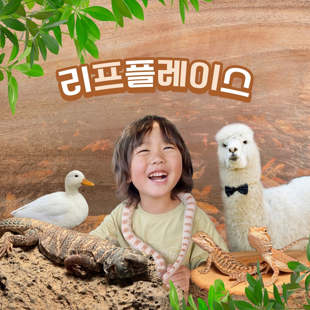 리프플레이스 사진 1