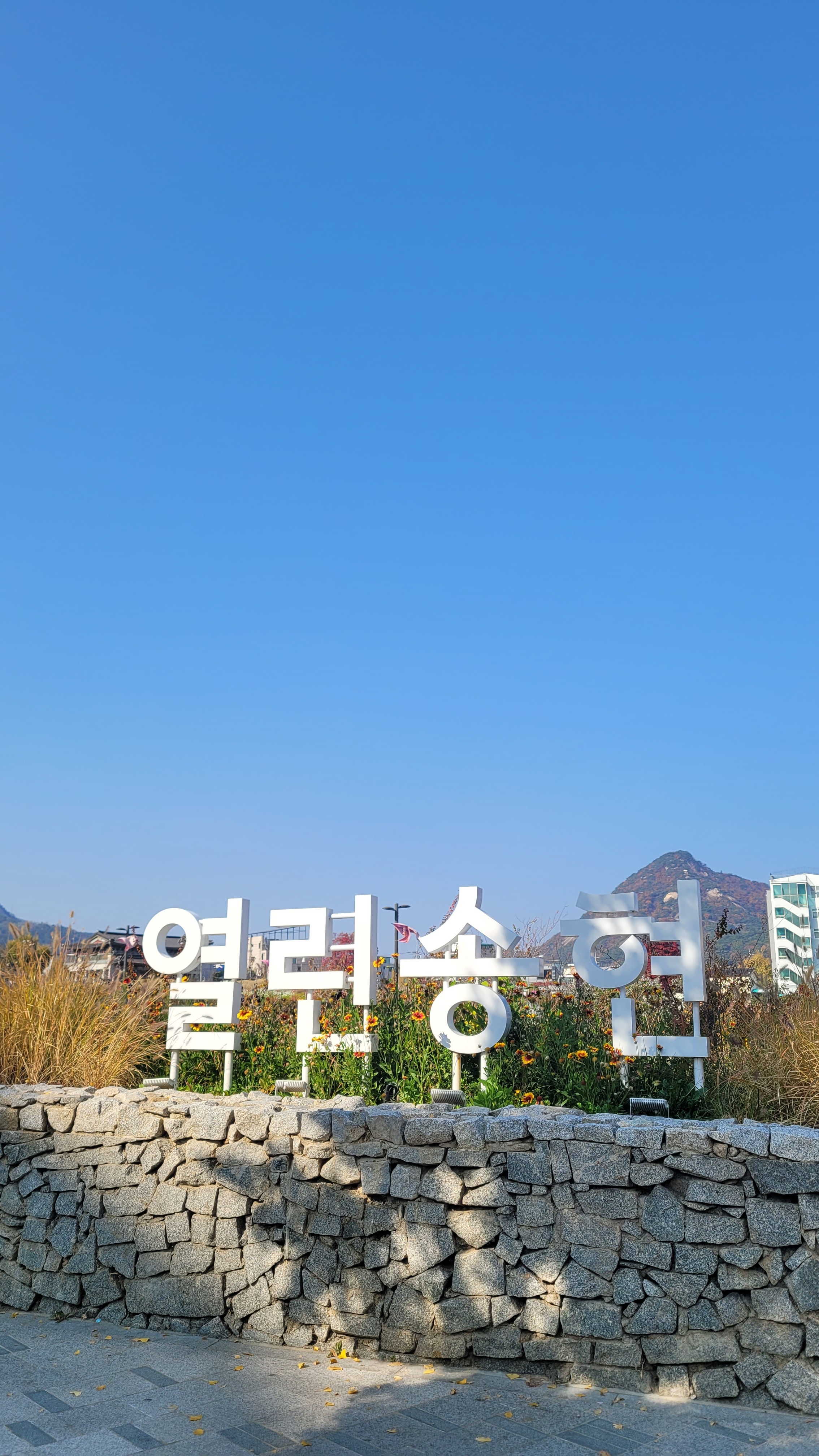 열린송현 녹지광장 사진 4