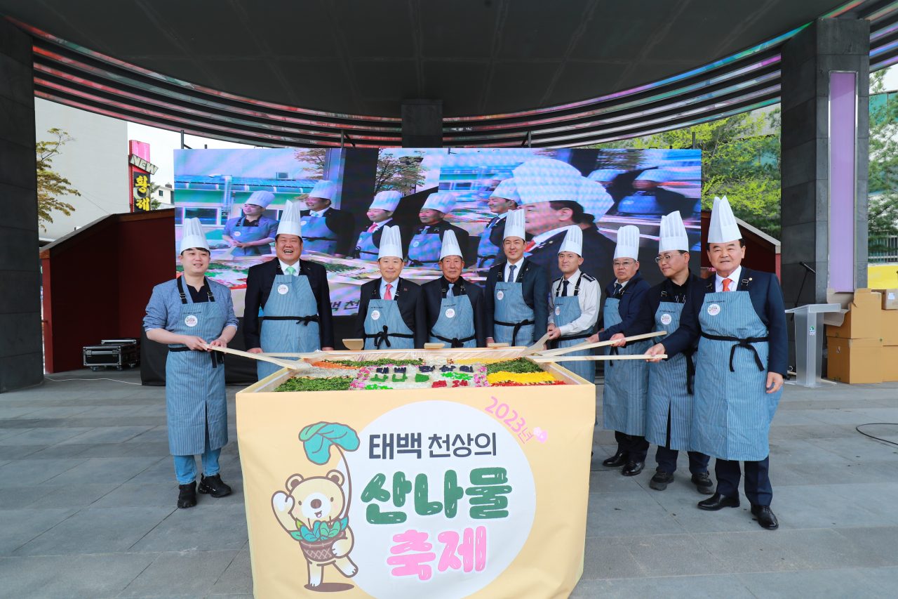 태백 천상의 산나물 축제 사진