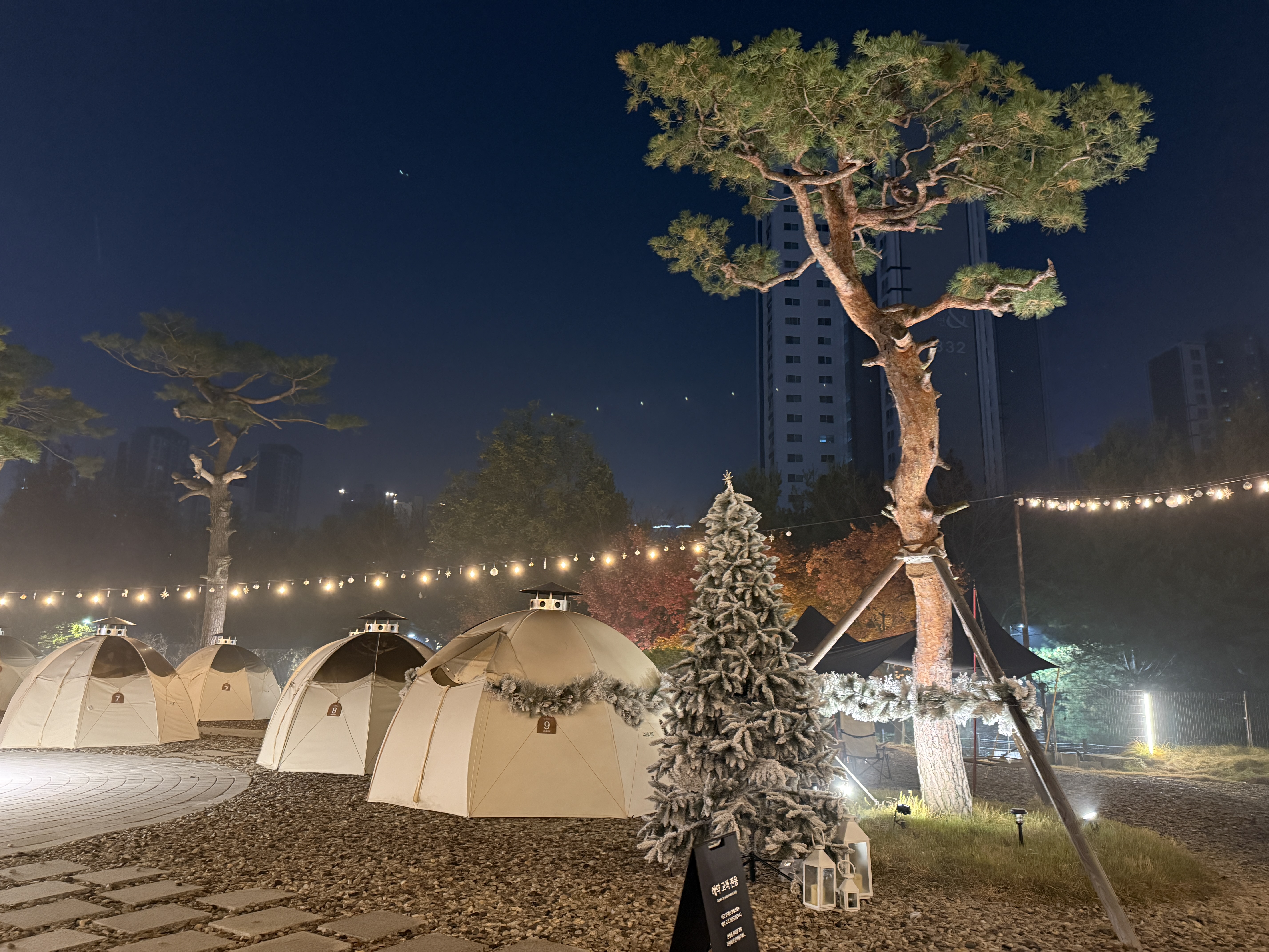 르레브 카페 사진 4
