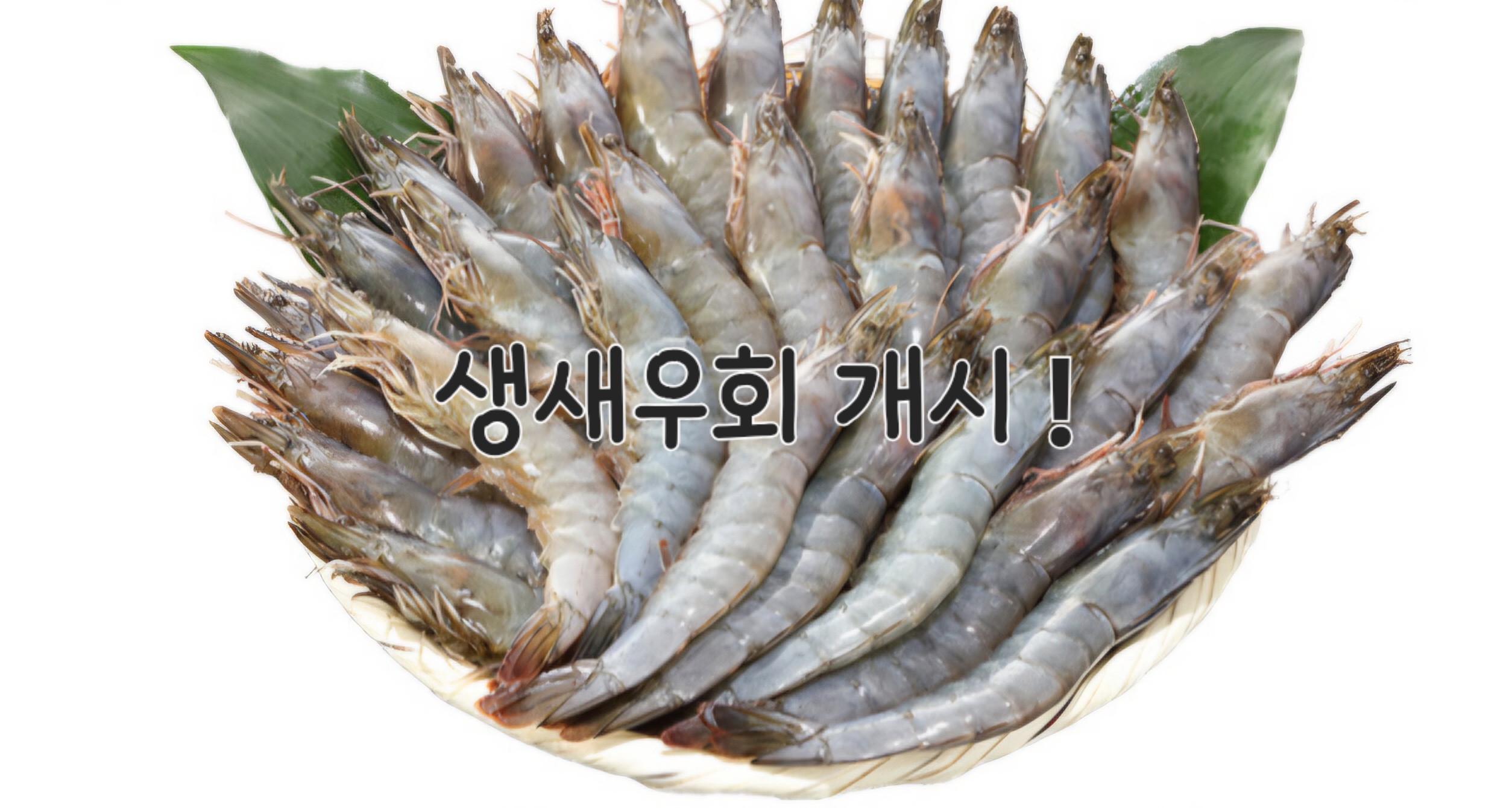 모에모에 사진 1