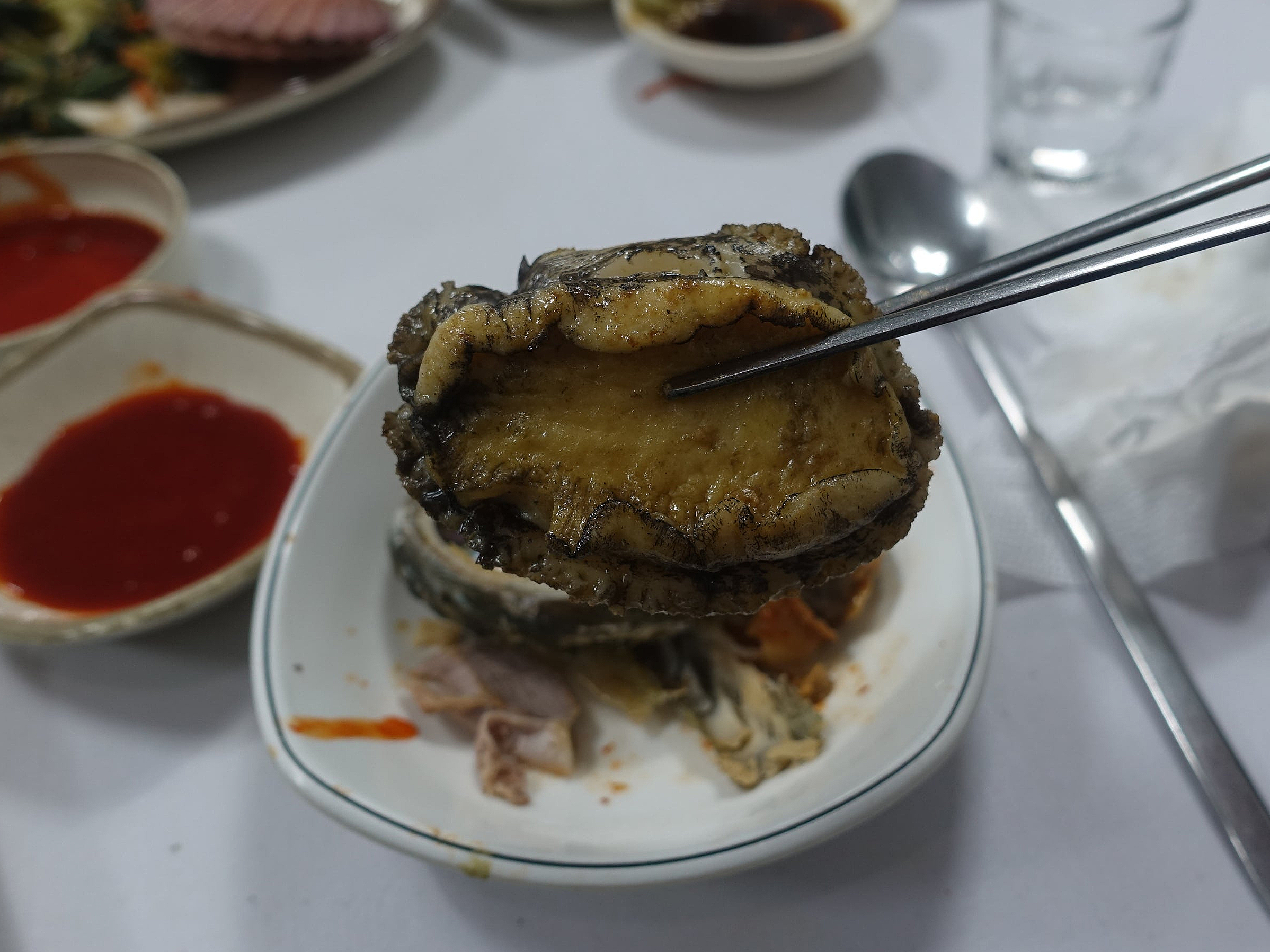 고흥집 사진 5