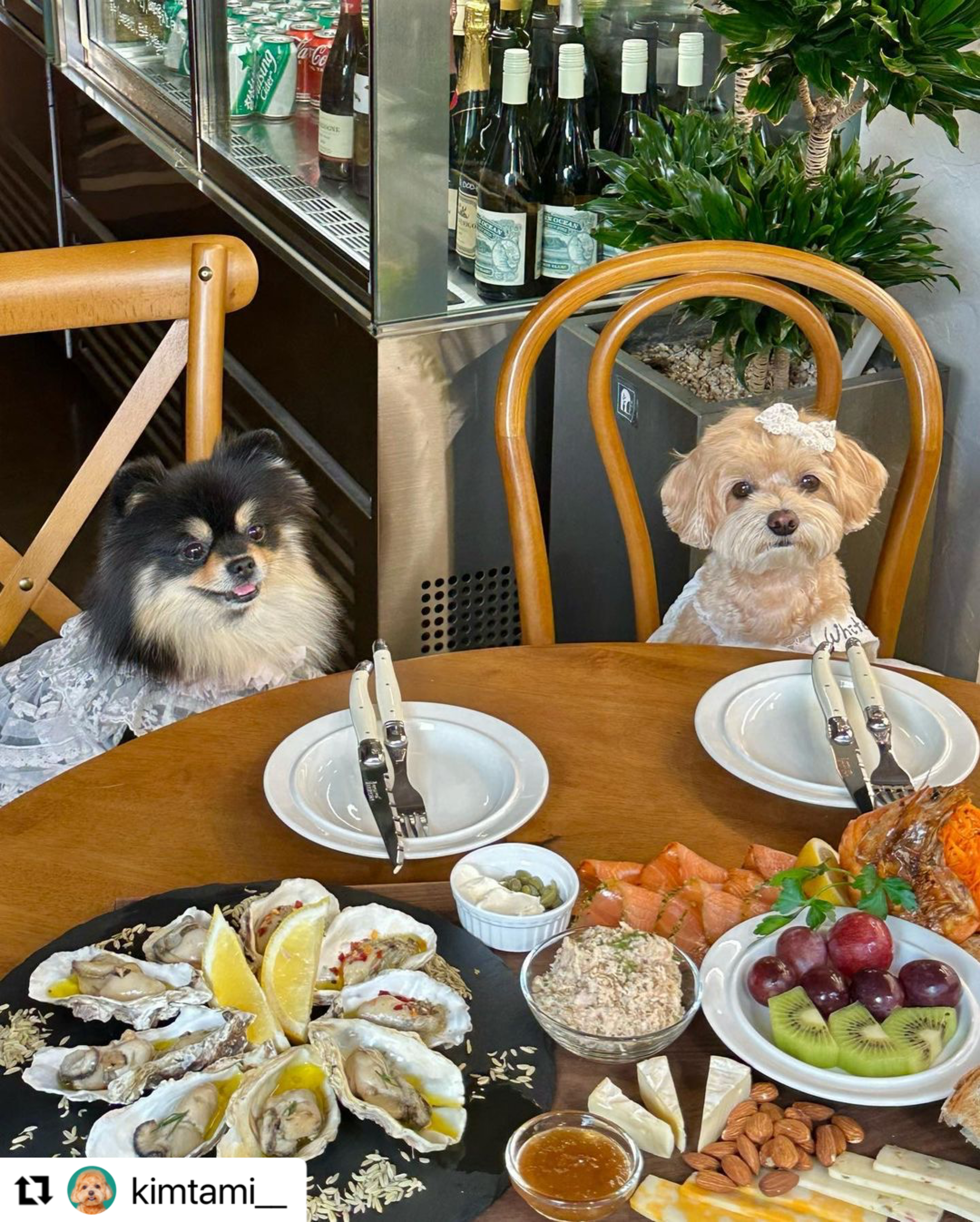 씨케이브 사진 3