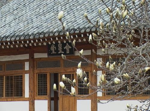 운문사 사진 1