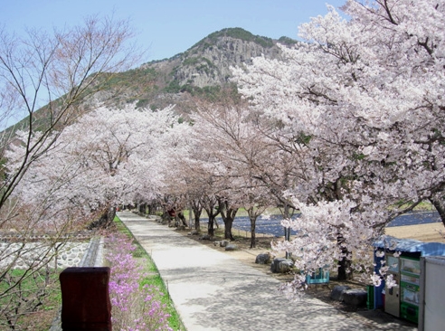 운문사 사진 2