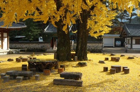 운문사 사진 5