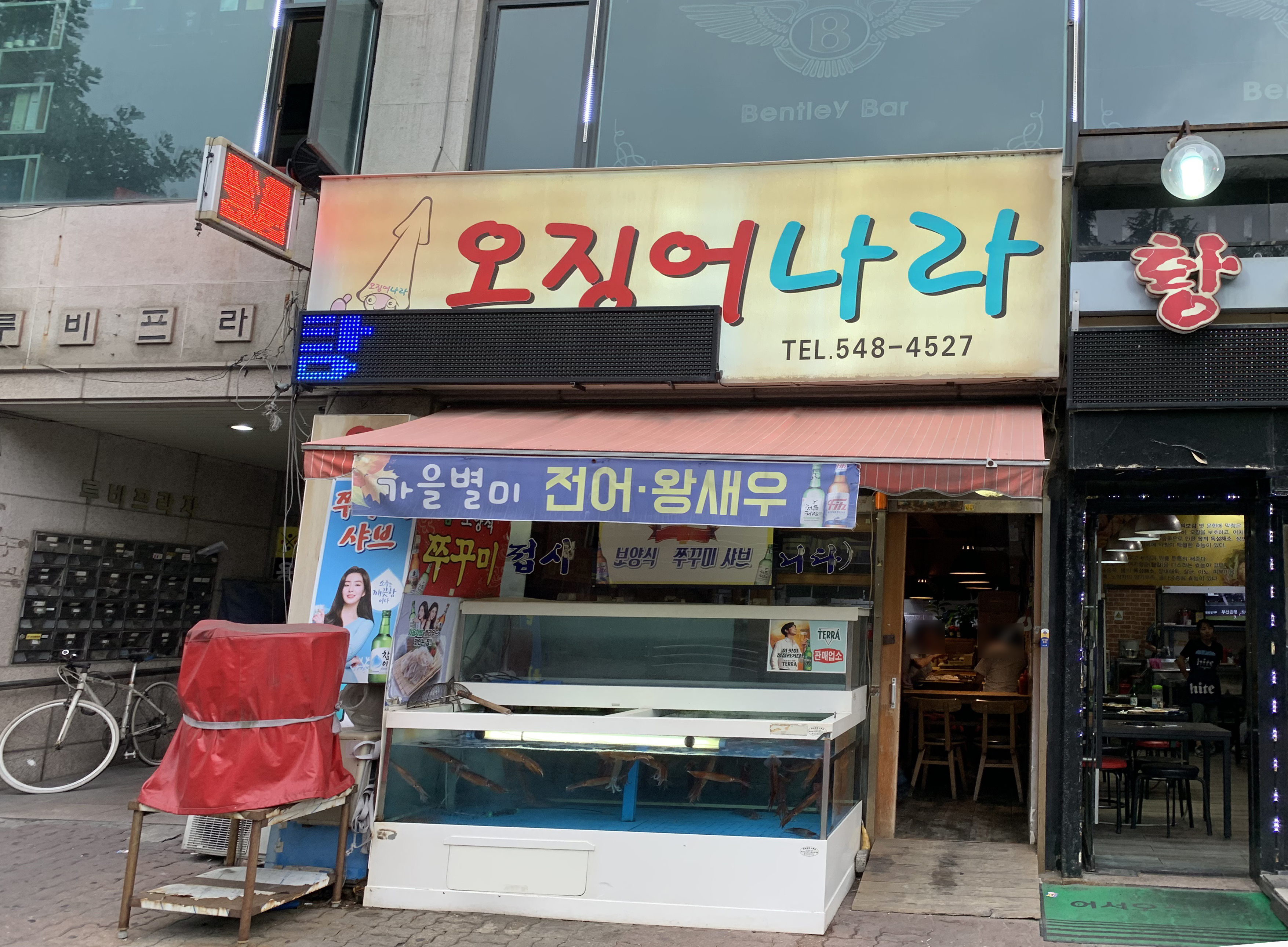 오징어나라 사진 1