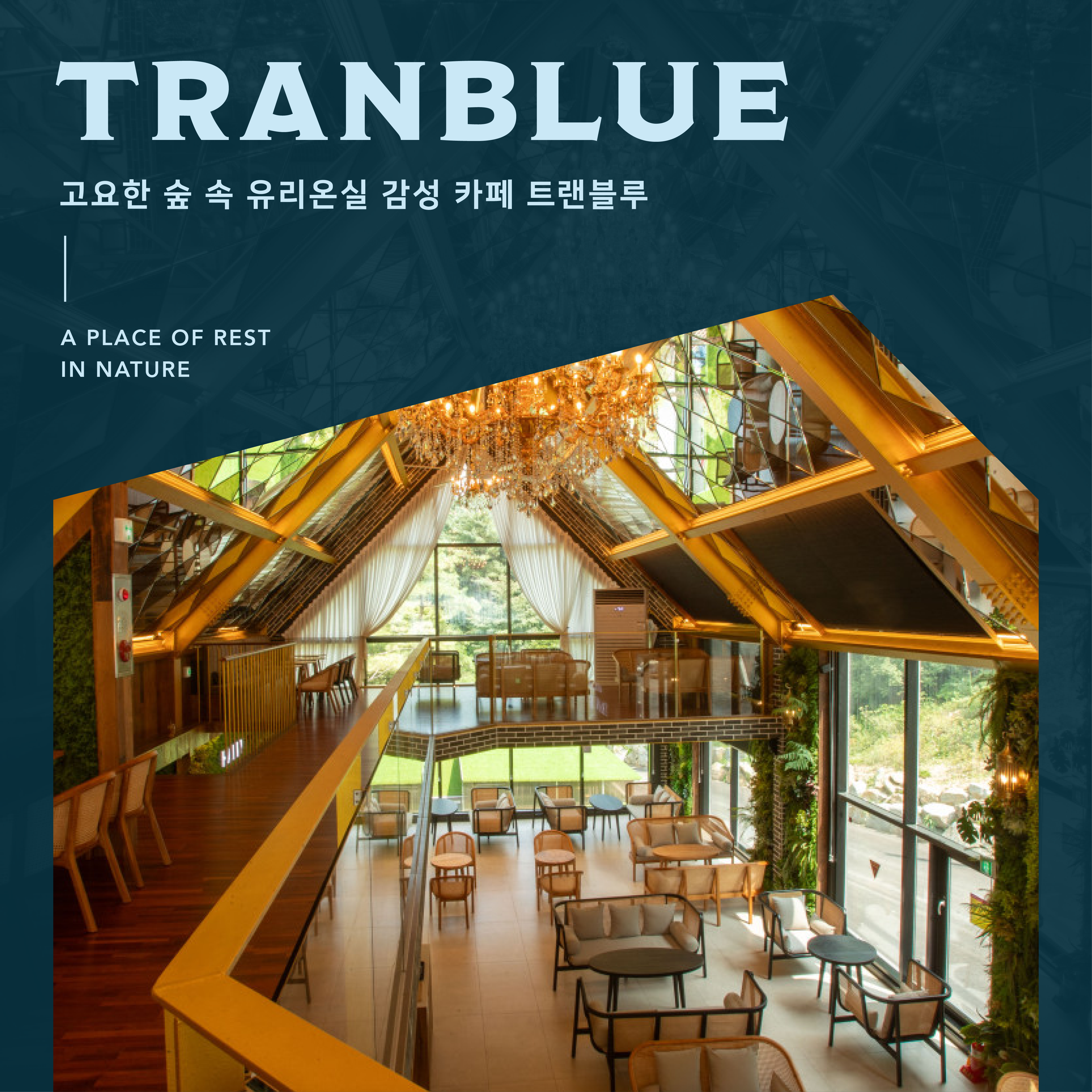 트랜블루&amp;숲불구이 사진 1