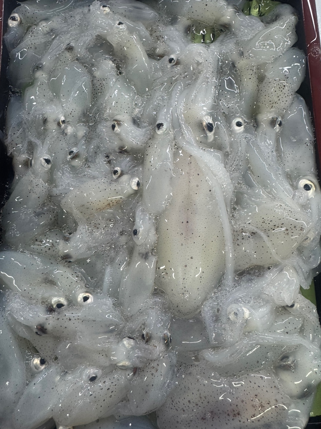 사천만수산물백화점 칠성시장점 사진 5