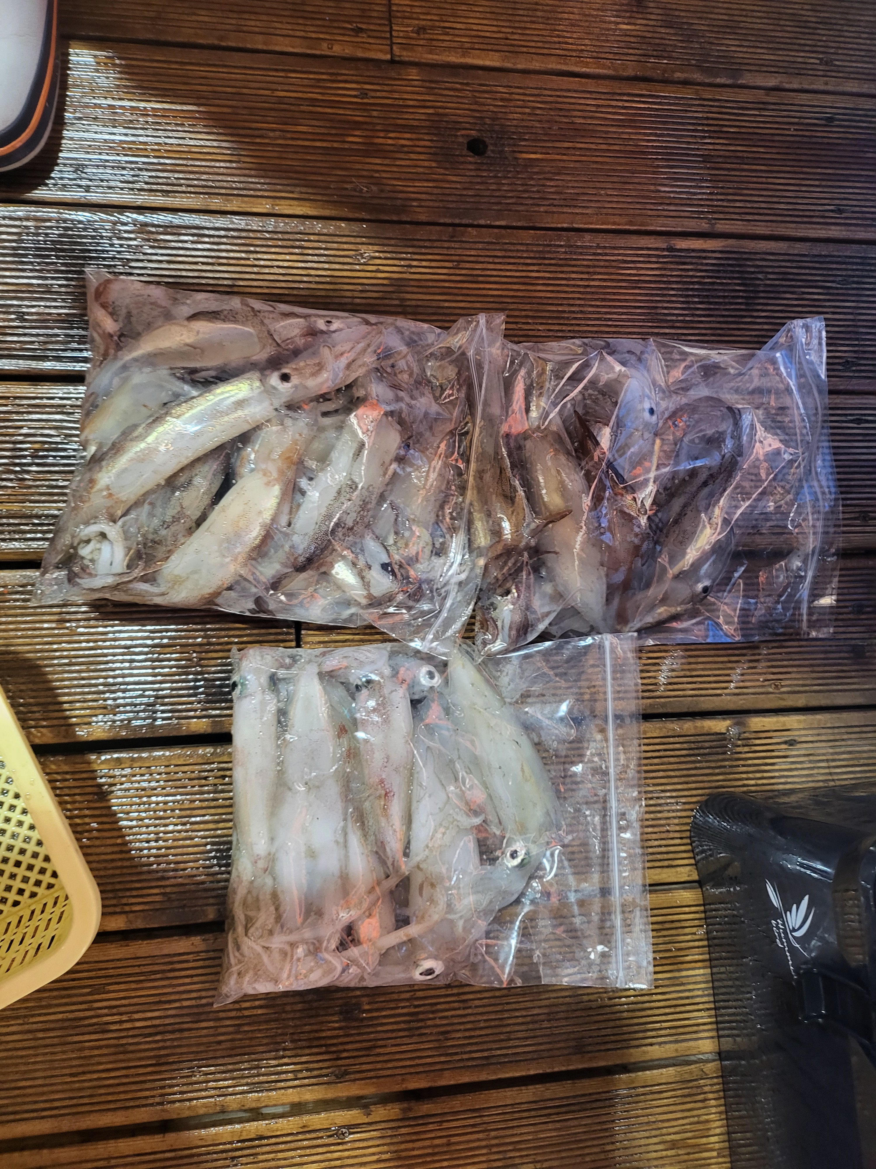 선상체험낚시 희성호 배낚시 사진 2