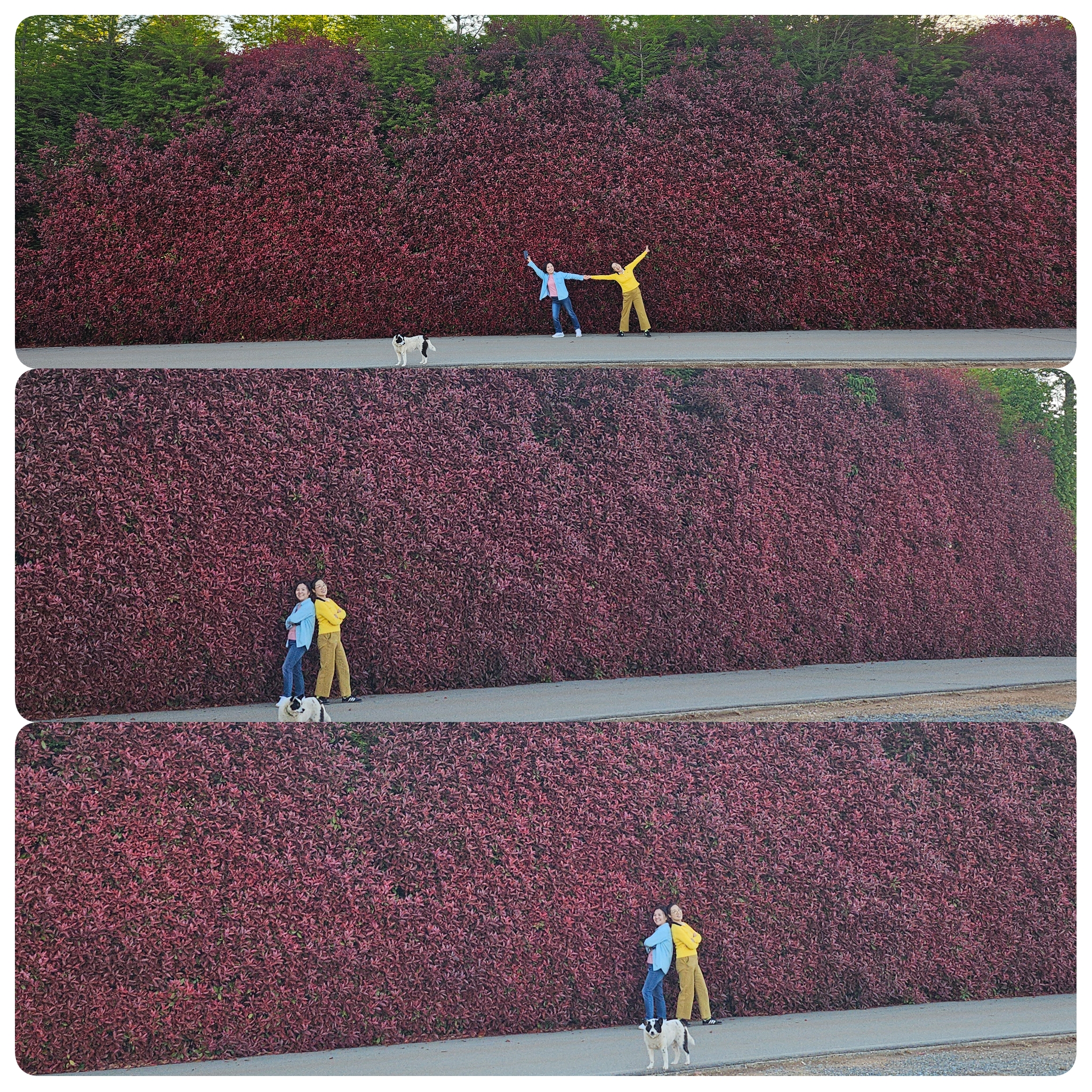 청산수목원 사진 1