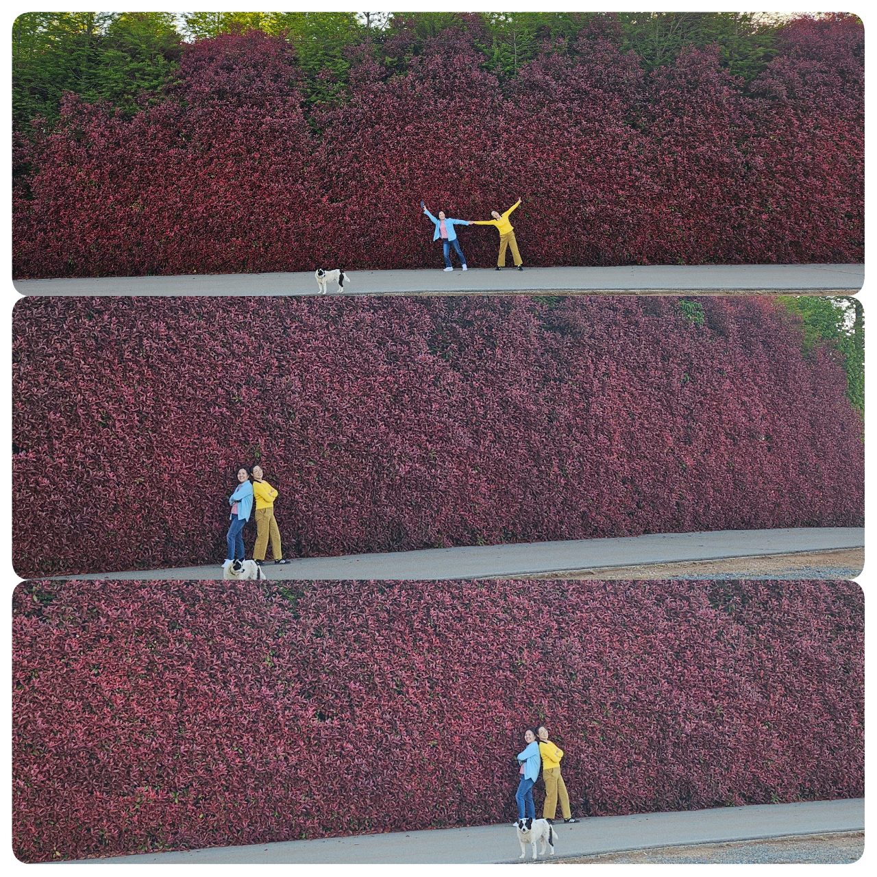 청산수목원 사진