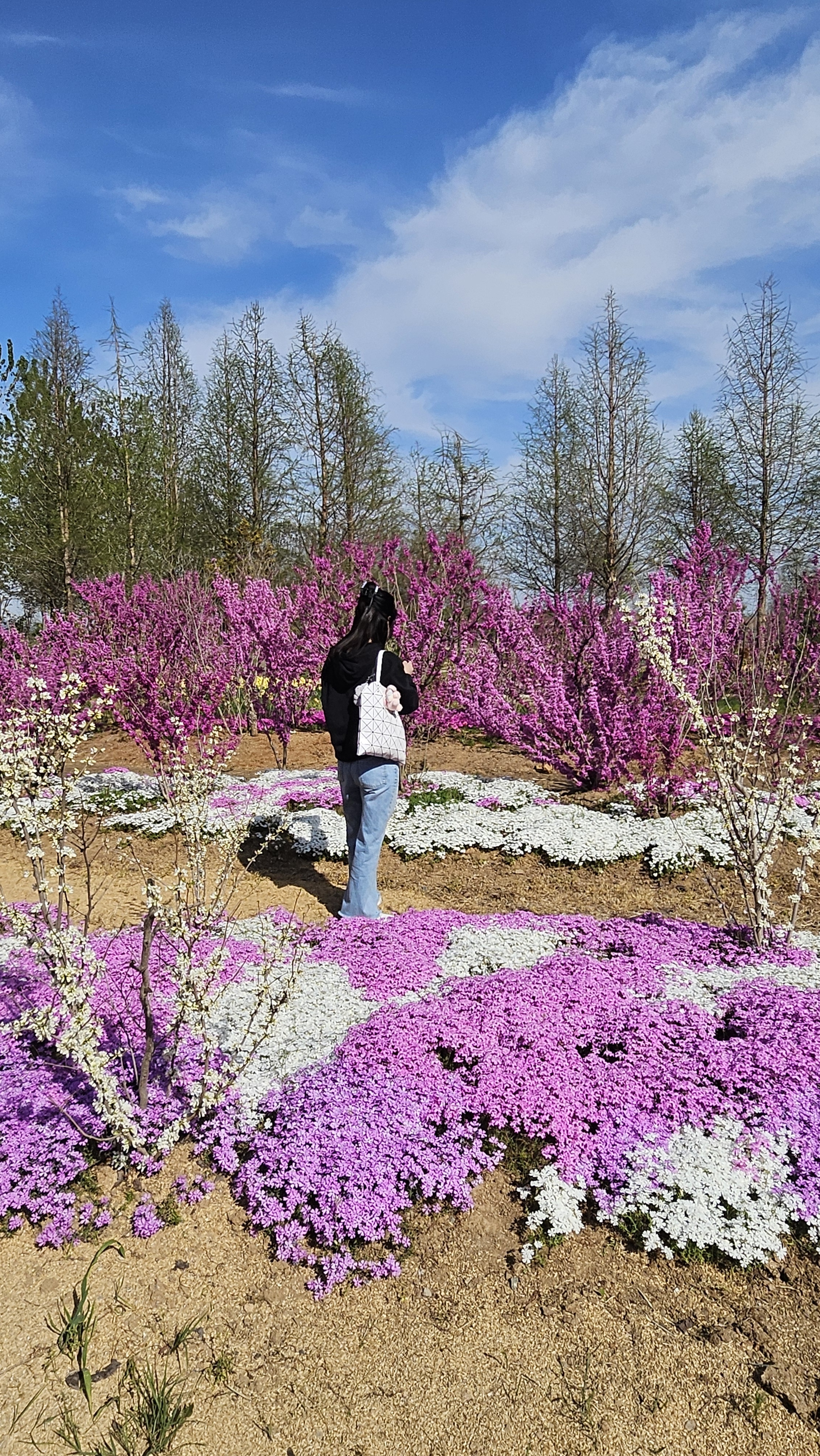 청산수목원 사진 4