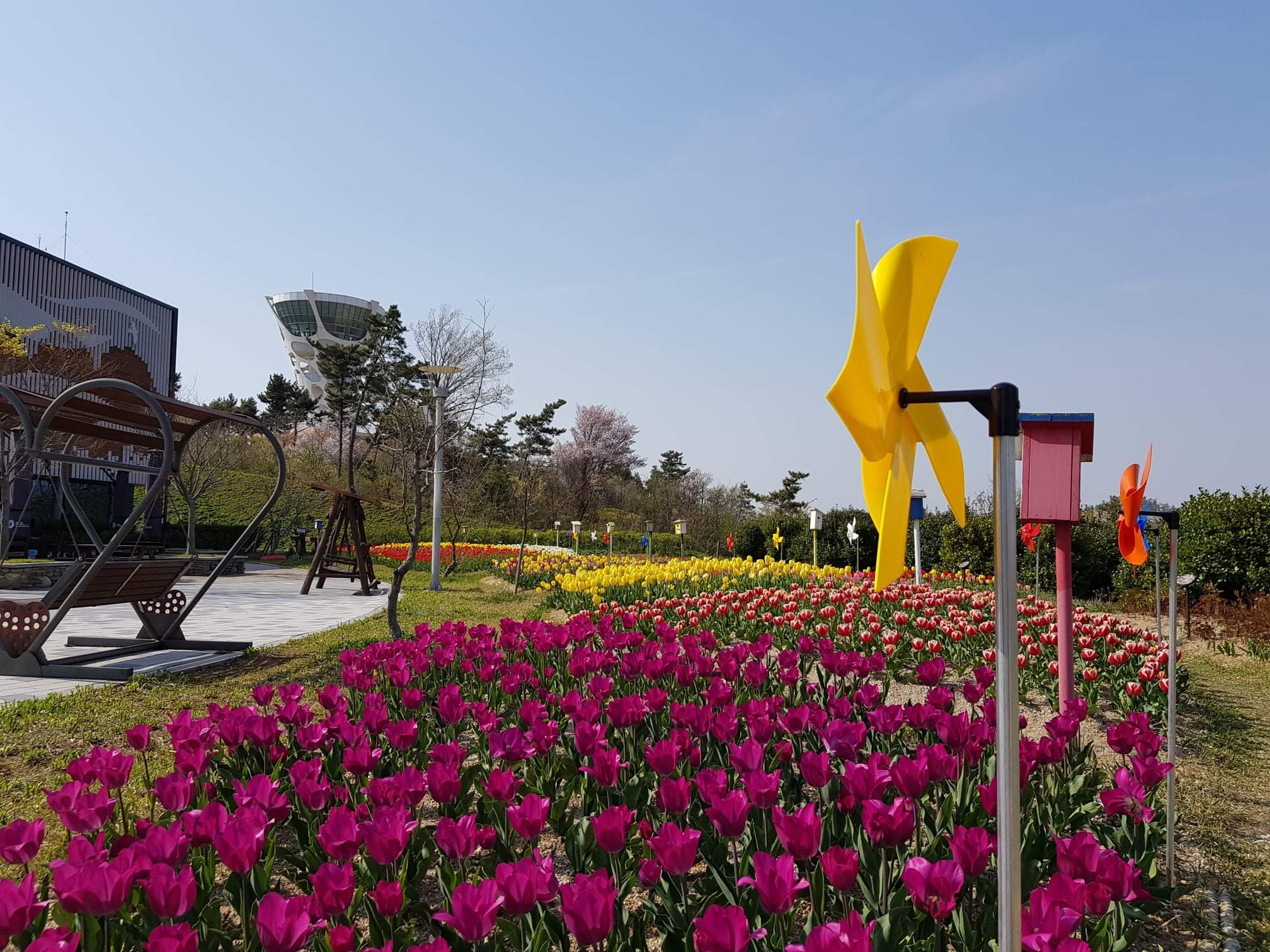 서산버드랜드 사진 5