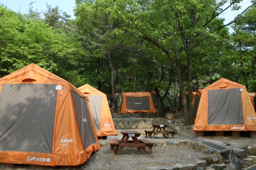 서울대공원 캠핑장 사진 3