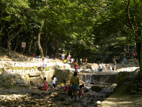 서울대공원 캠핑장 사진 4