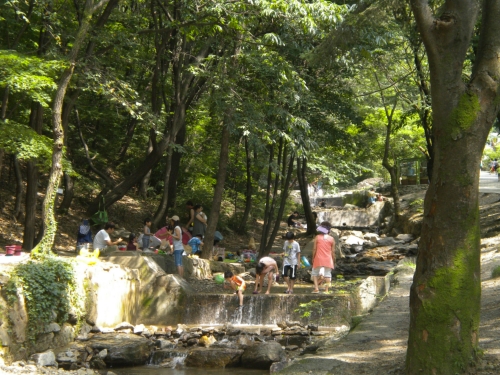 서울대공원 캠핑장 사진 5