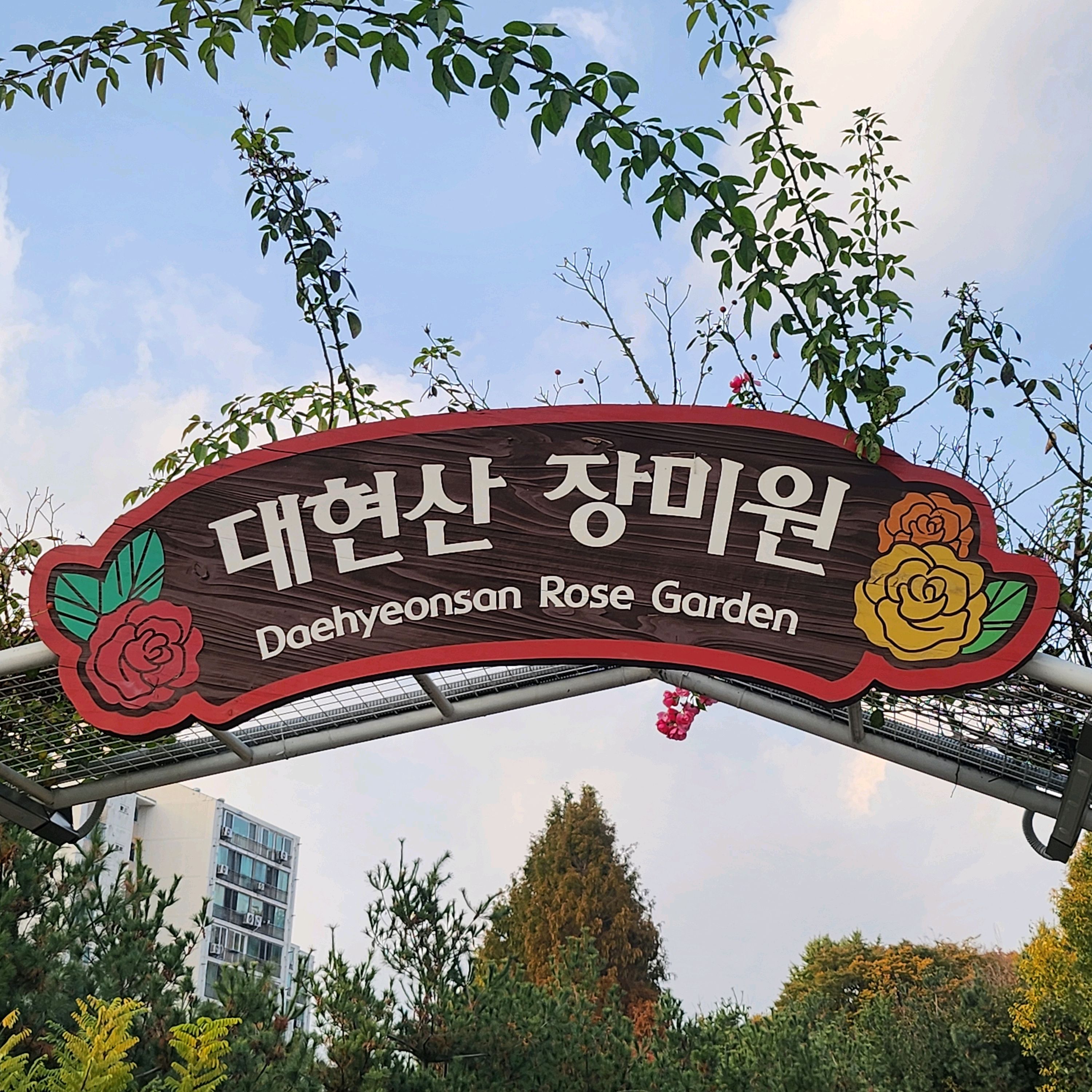 대현산 장미원 사진 4