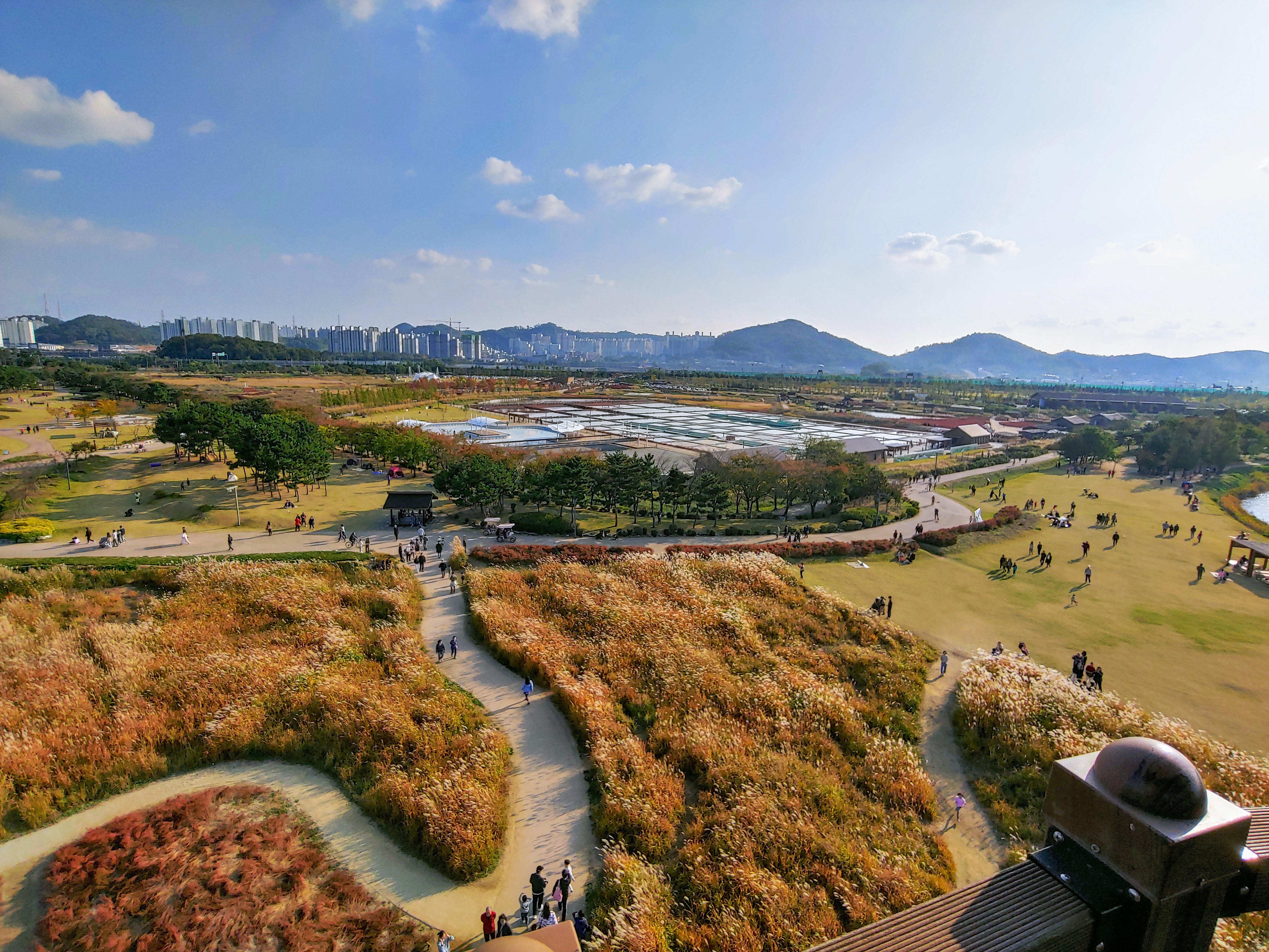 갯골생태공원 사진 4