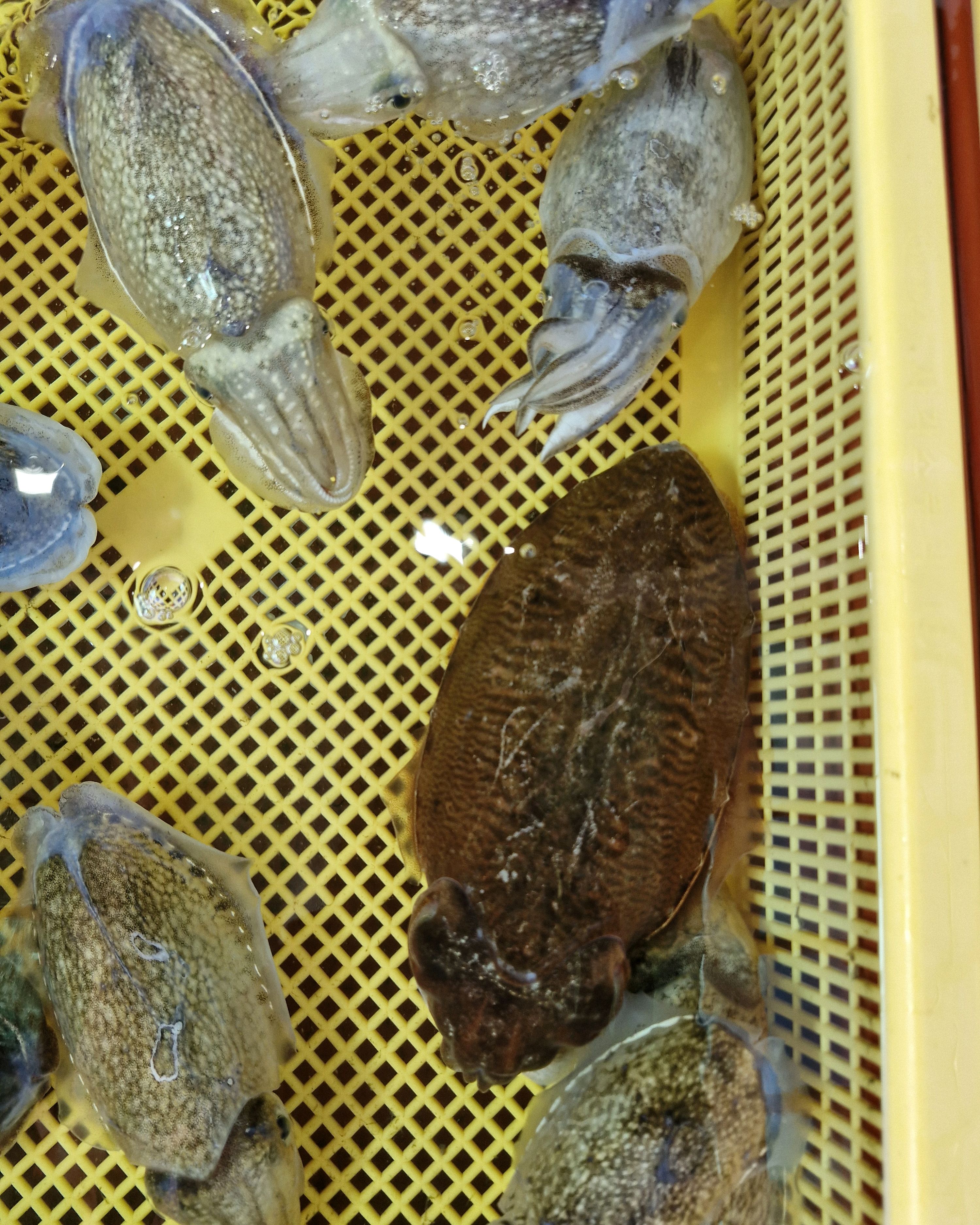가미수산 사진 2