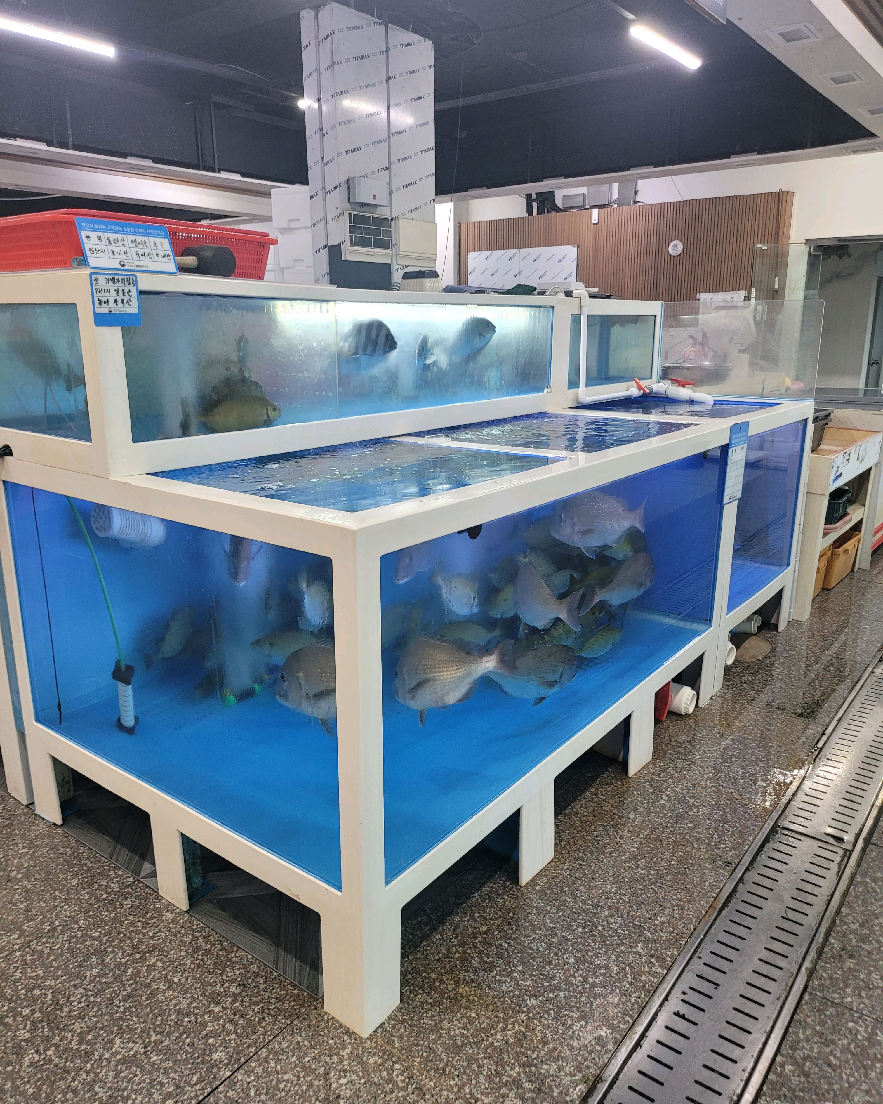 장원수산 사진 2