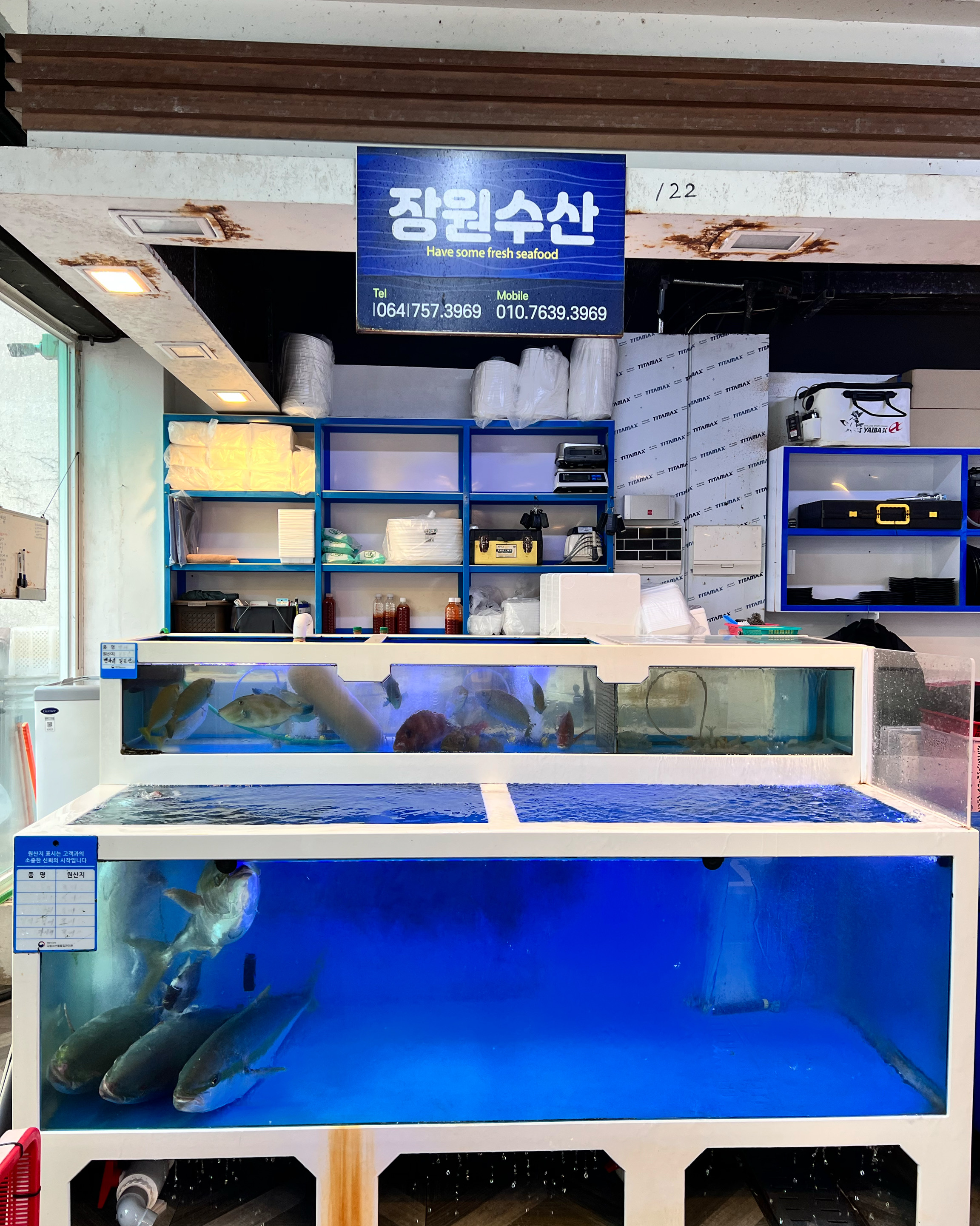 장원수산 사진 3
