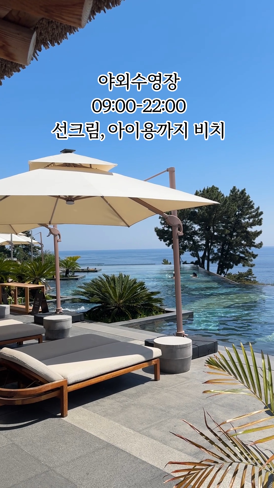 JW 메리어트 제주 더 라운지 사진 2