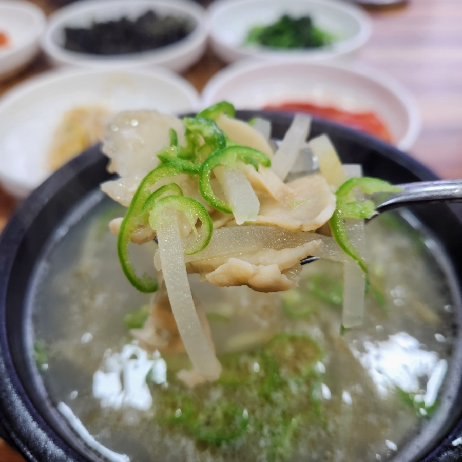 도화정 사진 1