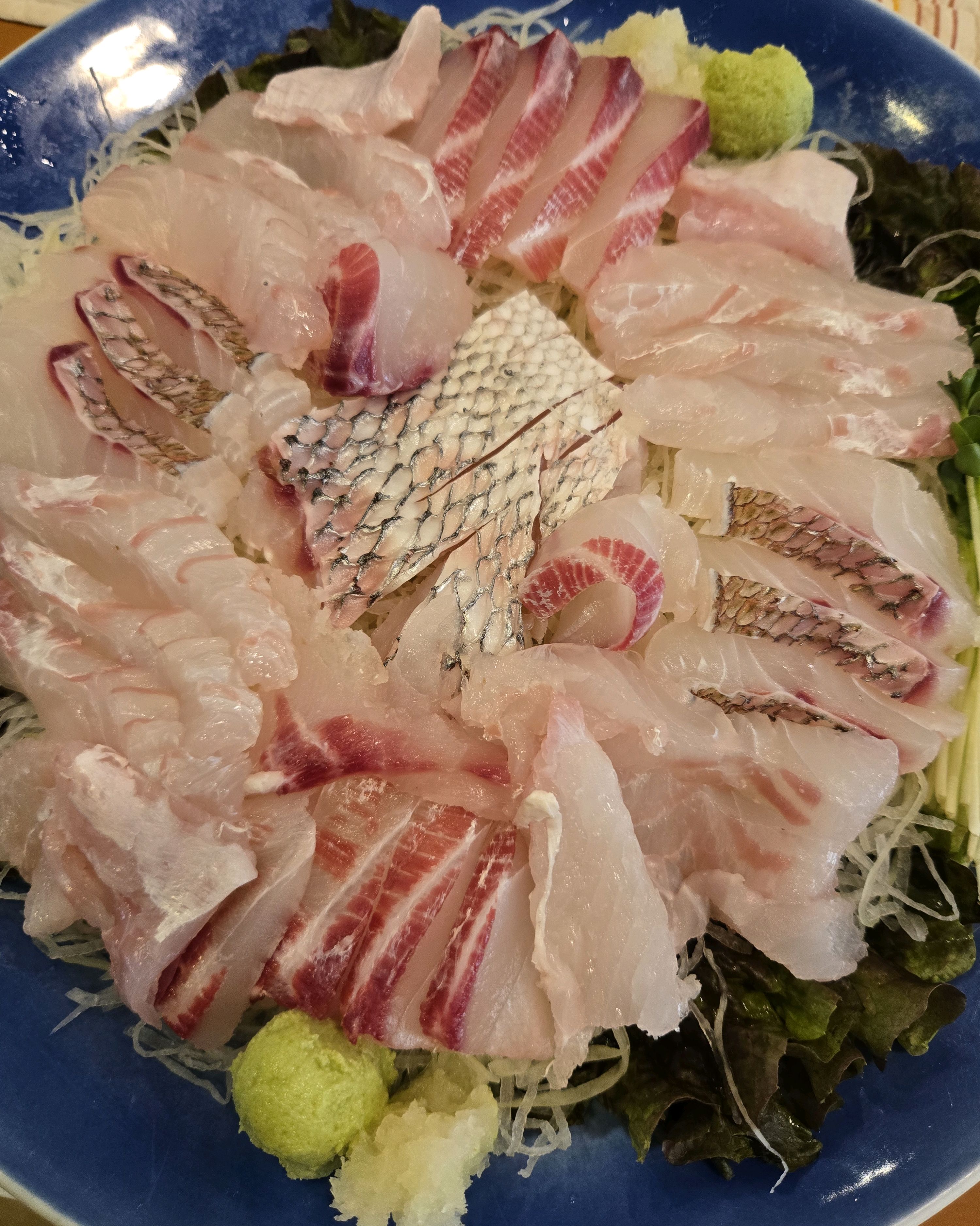 운향 사진 5