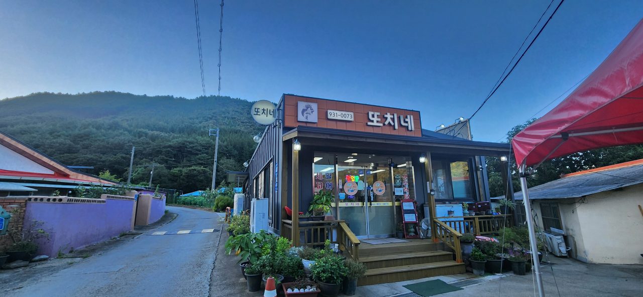 또치네 사진