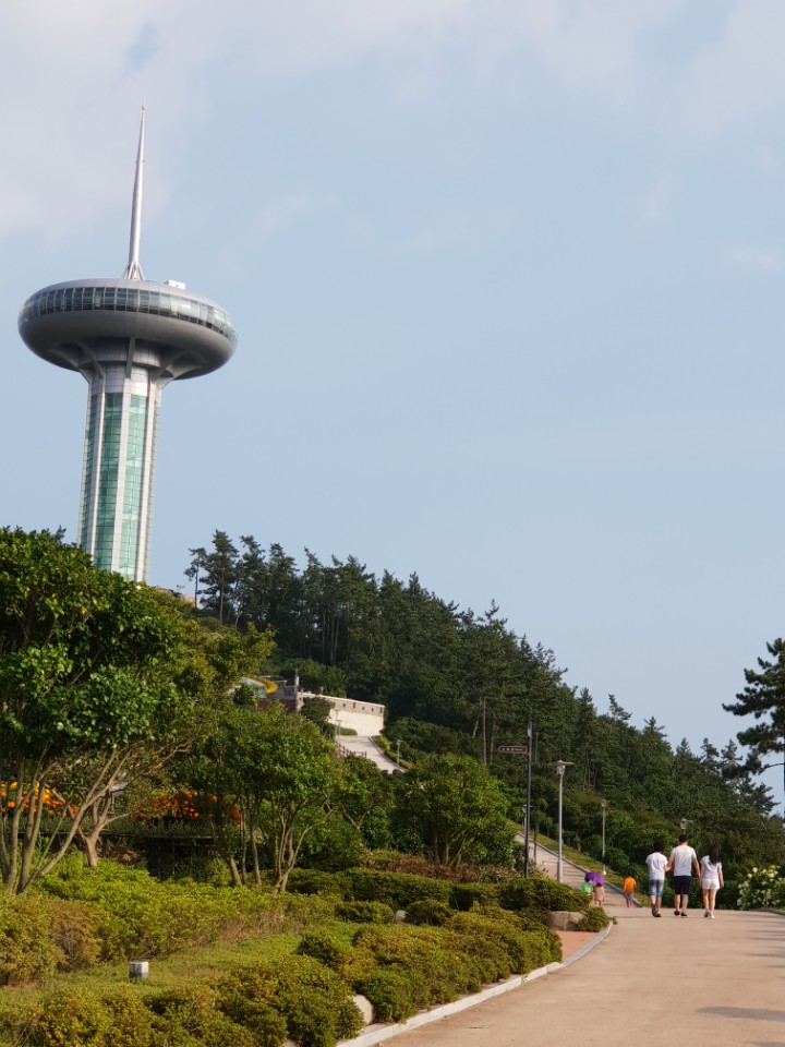 완도타워 사진 2