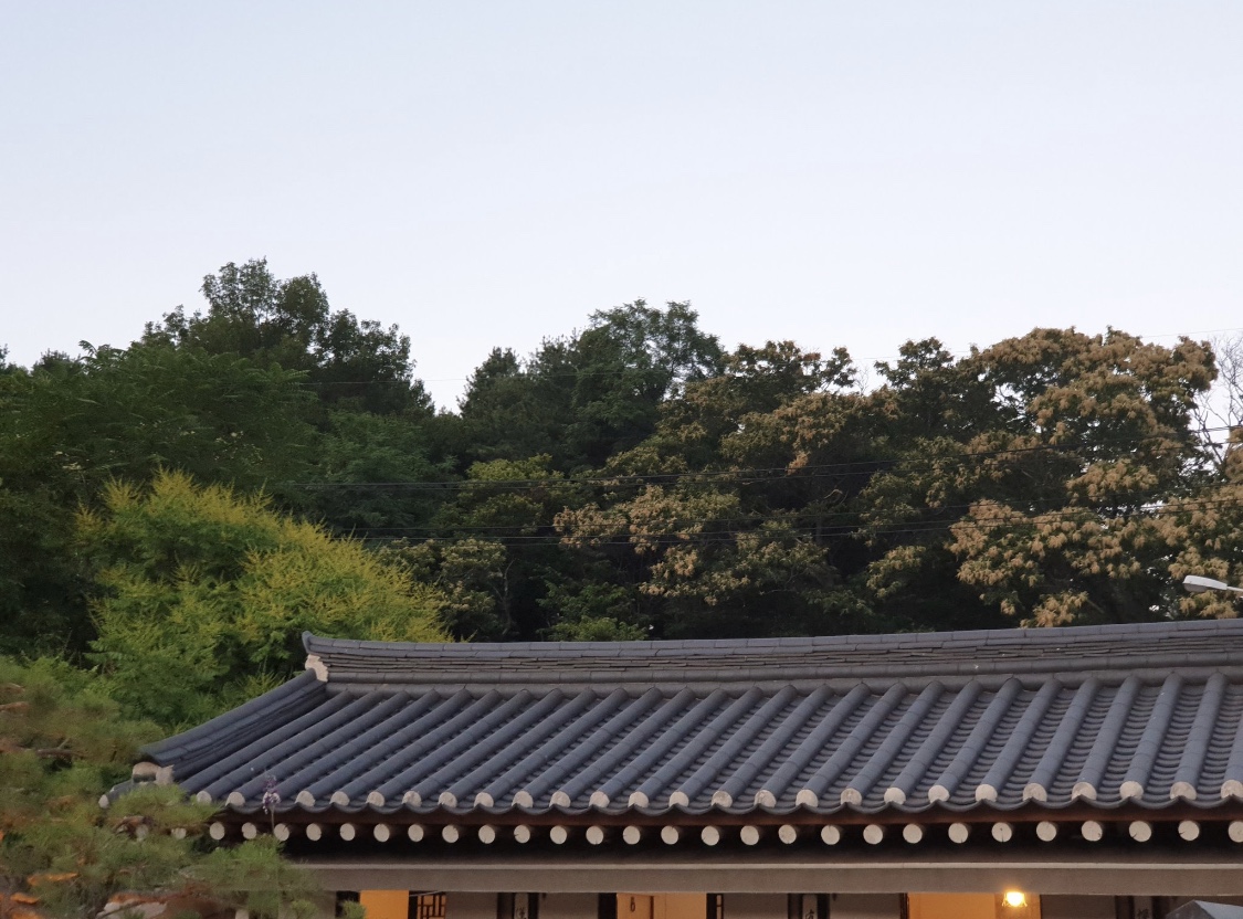 고당 사진 2