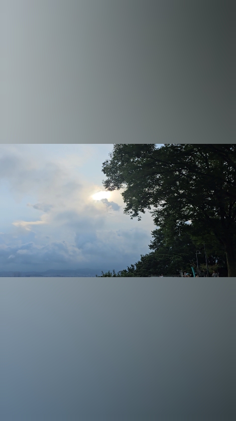남산공원 사진 3