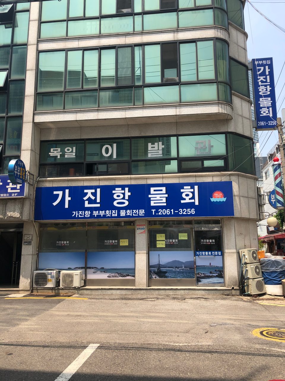 가진항물회 사진