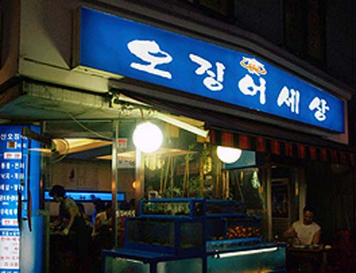 오징어세상 본점 사진 1
