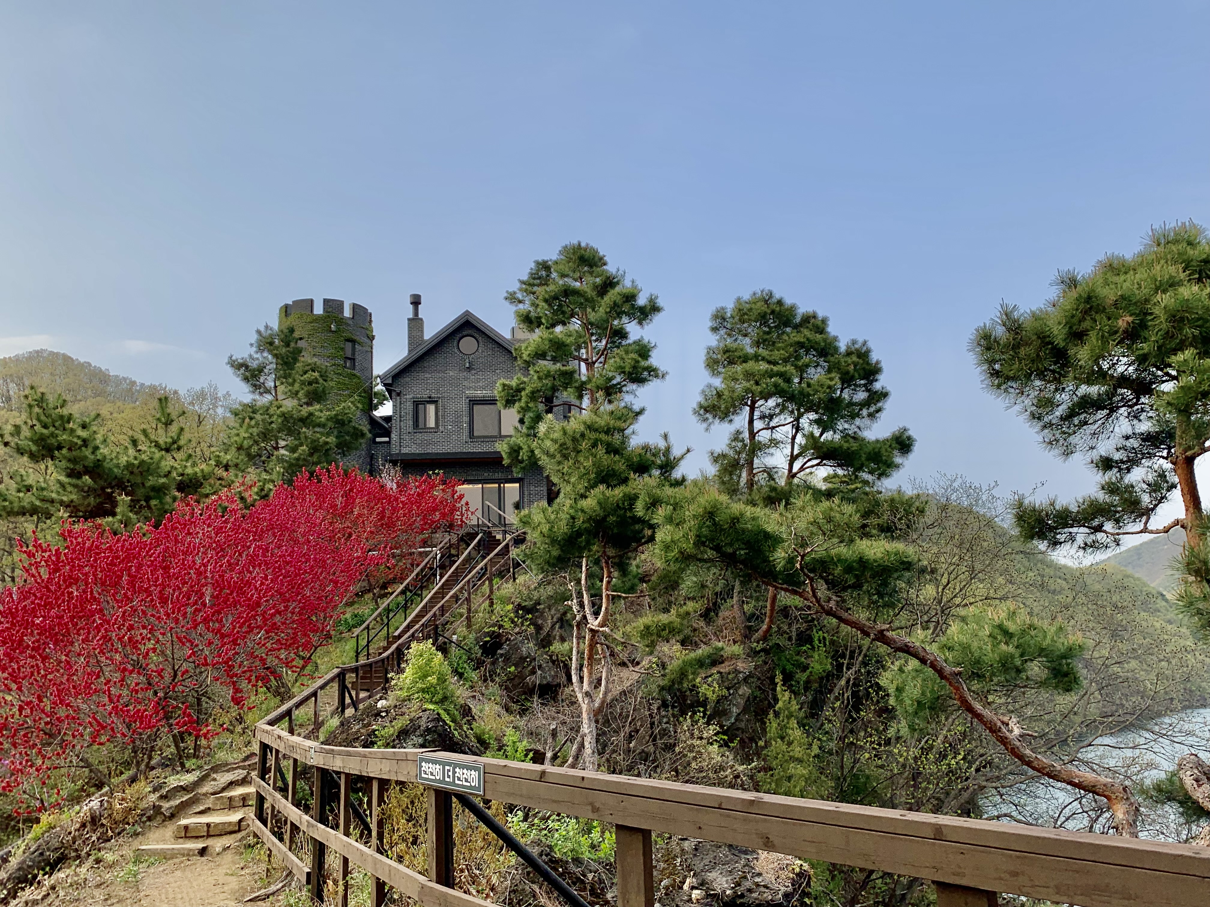 천상의정원 수생식물학습원 사진 2
