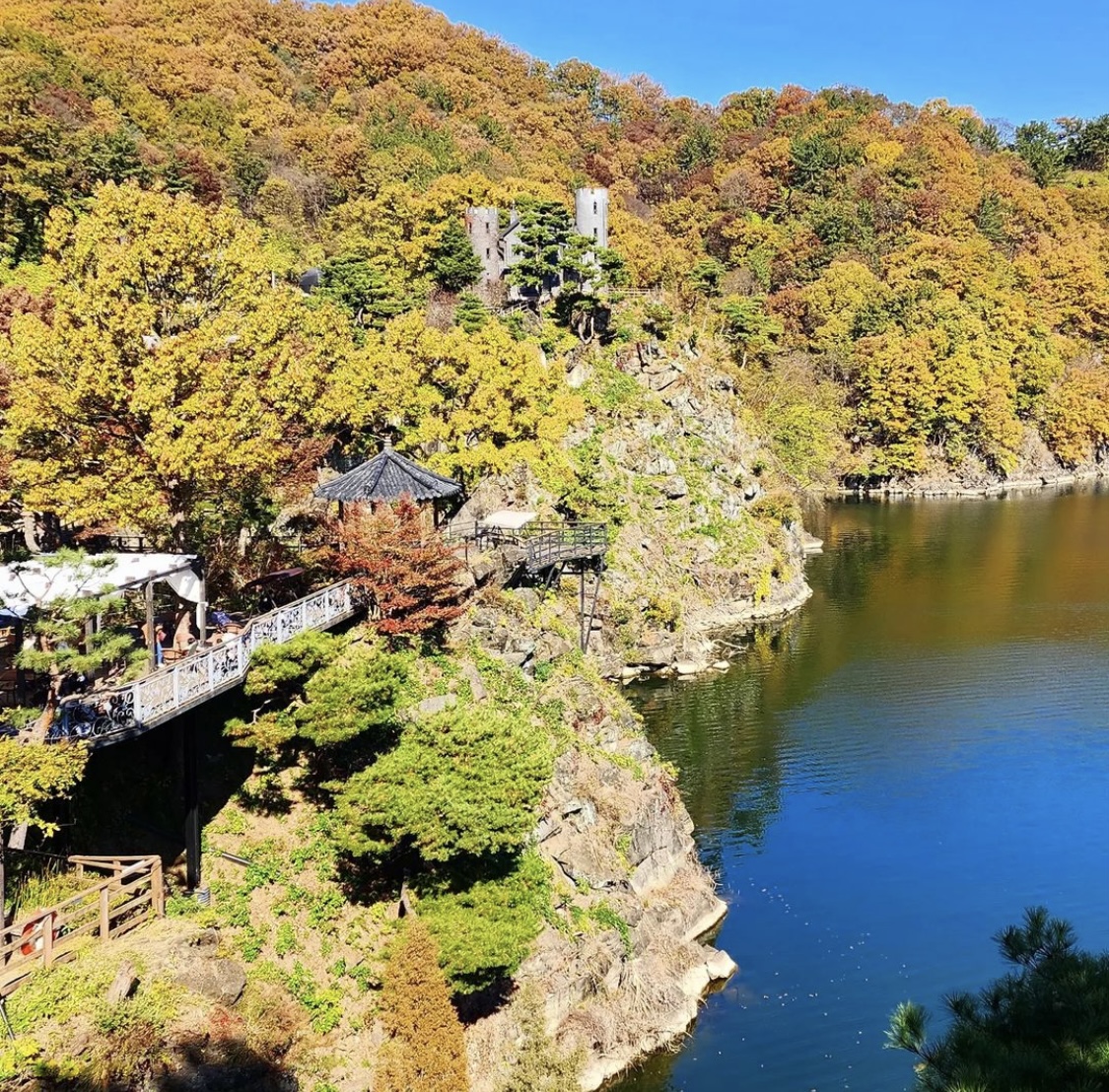 천상의정원 수생식물학습원 사진 4